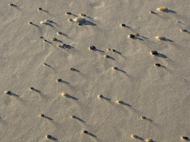 Steinchen im Sand