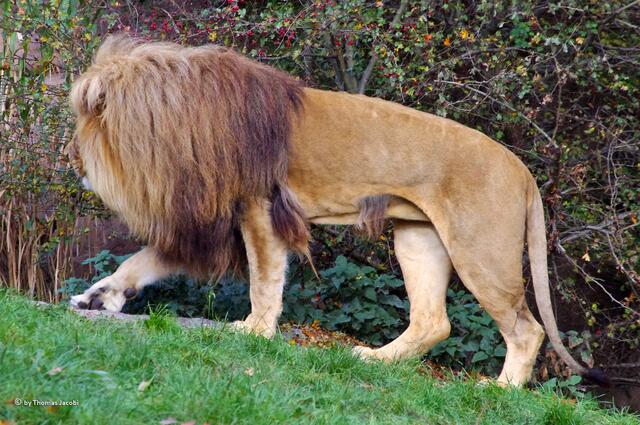 Ich geh schon mal vor.