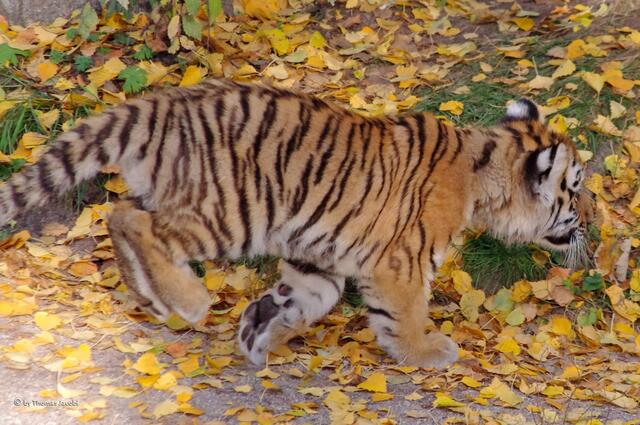 Ich geh dann mal toben.