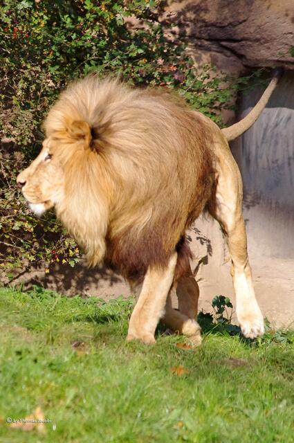 So, und jetzt ein Zwischensprint.