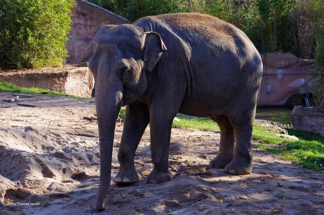 Ein Sandrücken. :-)
