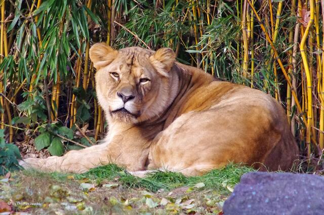 Na ehrlich mal, immer das Geknipse.