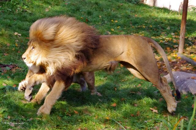 Los, wer ist schneller?