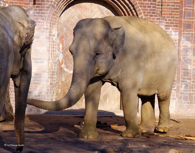 Die wärmende Sonne noch etwas genießen.