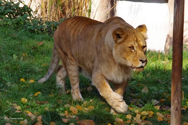 Moment, ich komme mit.