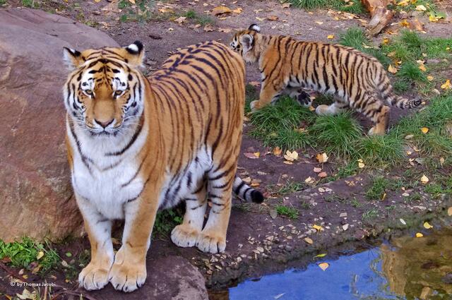 Und ihr da draußen, habt ihr auch Kinder?
