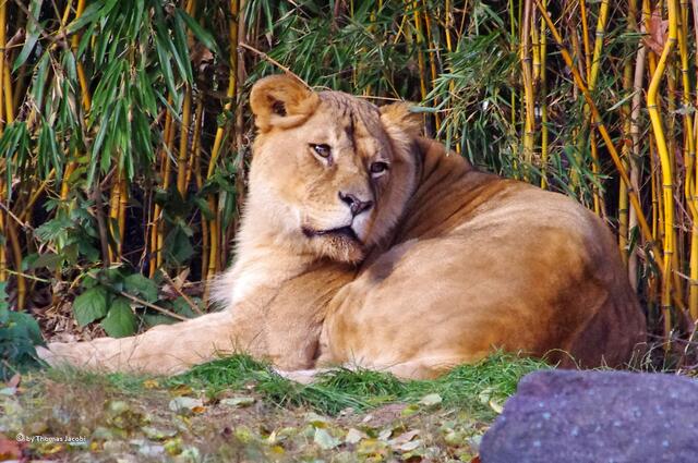 Wo willst du denn hin?