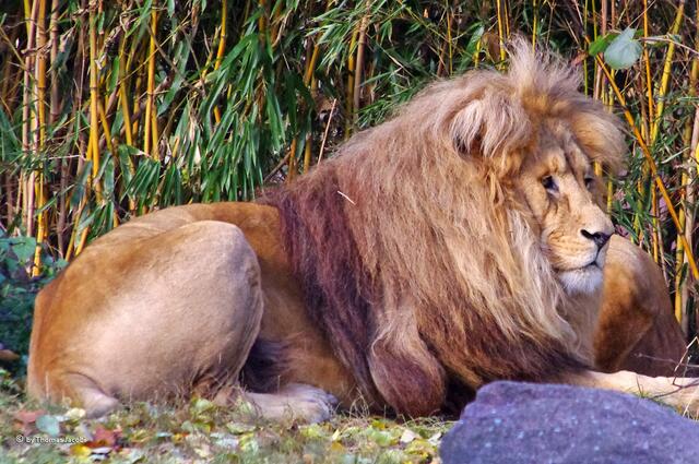 Man, was sind das nur für Leute?