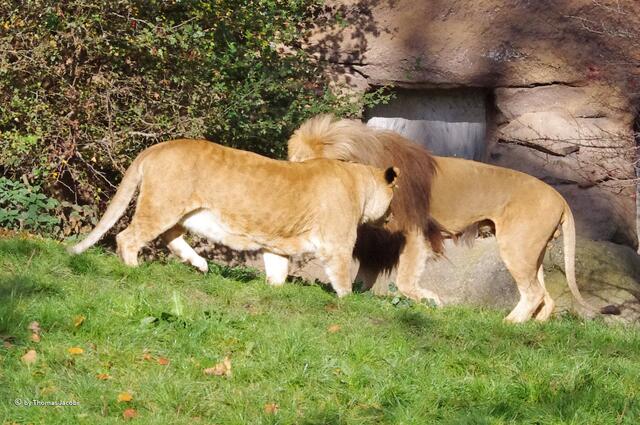 Na du, doch lieber kuscheln?