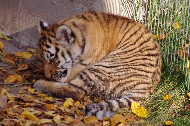 Hat der mich einfach angetatzt. :-)