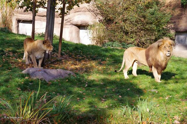 Nu bleib doch mal stehen.