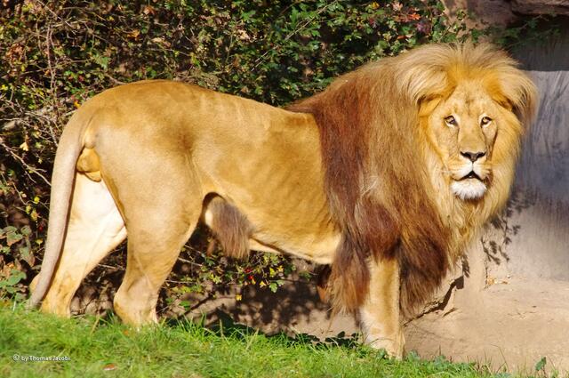 Ich geh' mir jetzt die Beine vertreten.