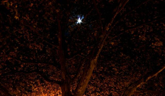 Unten leuchtet die Straßenlaterne, oben der Vollmond