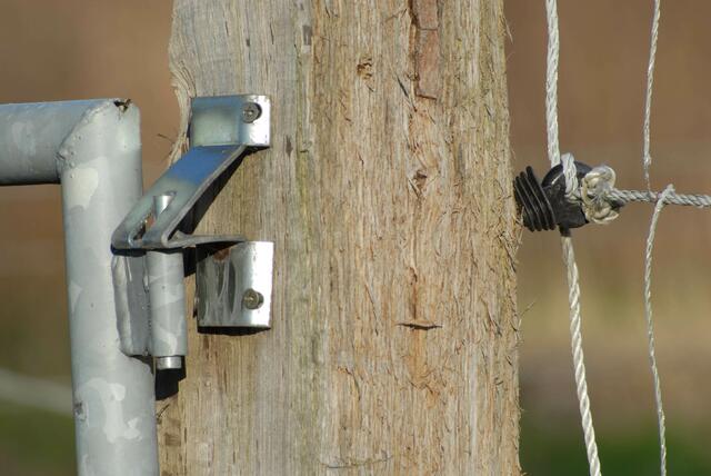Hightech an der Pferdekoppel?