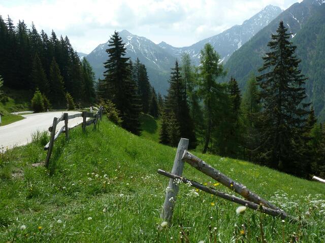 in den Dolomiten