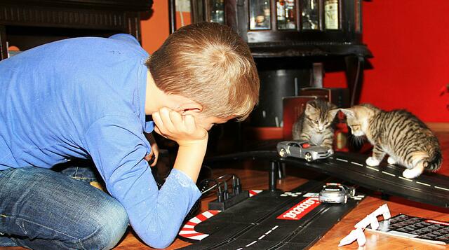 ohne Worte der arme Flo