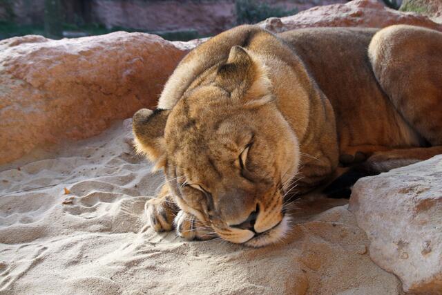 .... später vielleicht....