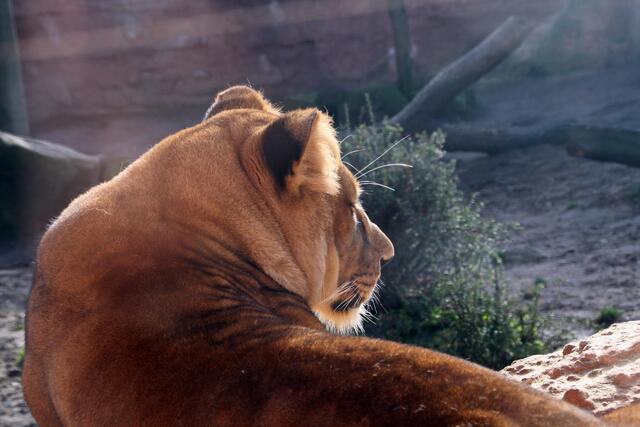Tja, Mensch. War nett, dass Du mal vorbei geschaut hast.