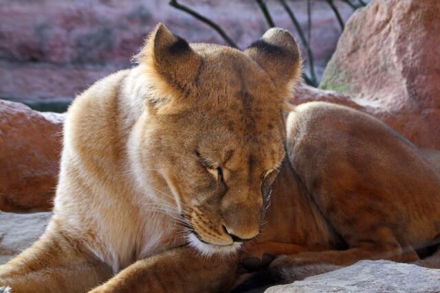 Mann, bin ich müde.
