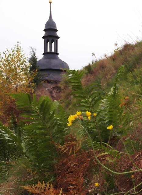 Romantik in Katzhütte