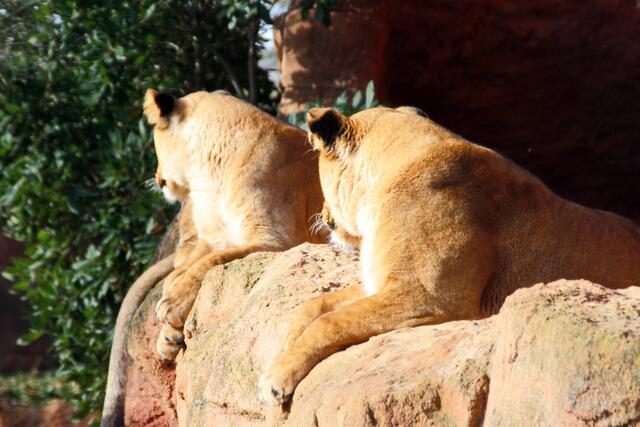 Mach's gut. Und pass auf, dass Dir nichts passiert.