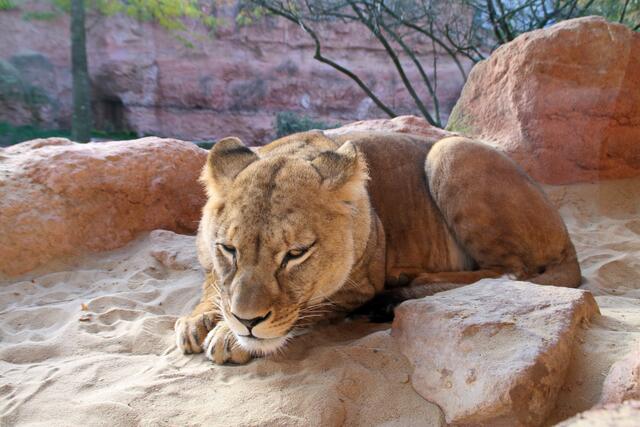 Was wollte ich noch? Ach, mach ich nachher ...