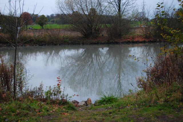 Hier an dieser Steller, geht es am 1. Januar ins eiskalte Nass! | Foto: David Dirksen Team Jugend SG hat den Einstieg in den Kanal getestet. Foto von ihm!