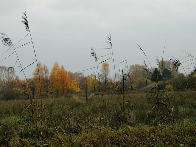die Natur malt schöne Bilder