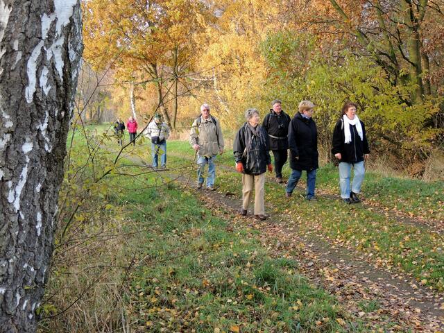 war gar nicht schaurig - durchs Moor zu gehn