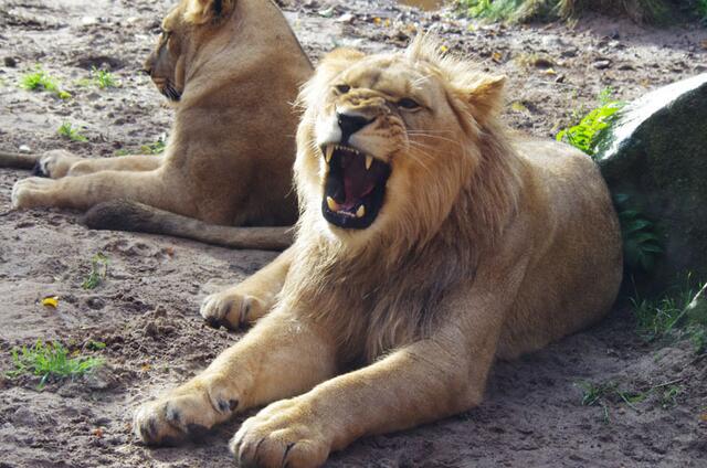 staunste wa --- so groß bin ich geworden