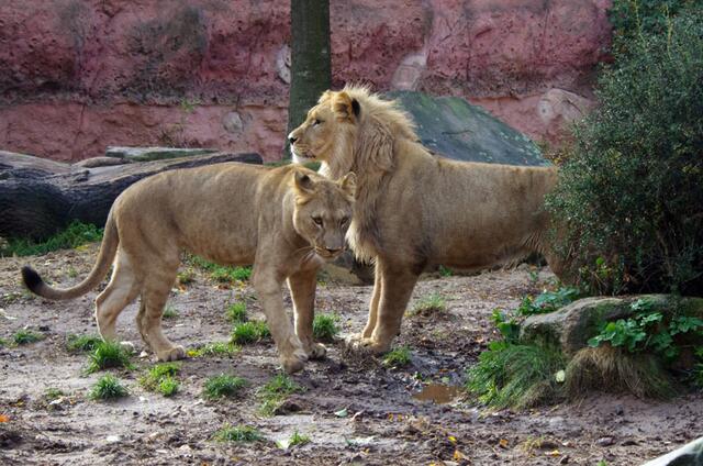 --- ich geh`ja schon ---- also bis zum nächsten Mal