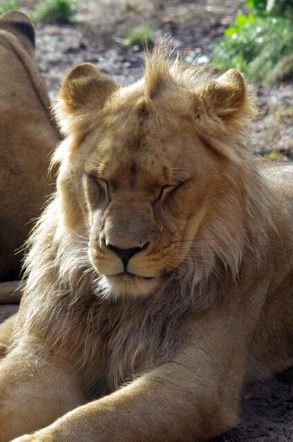 oh man --- was blendet mich die Sonne heute