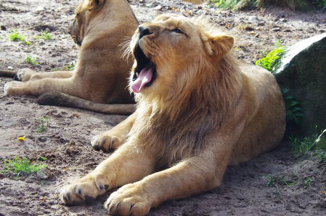gähn --- langweilig heute hier