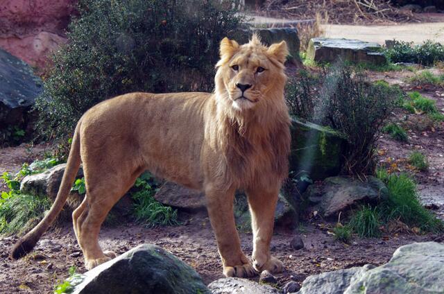 he du da hinter der Scheibe ---- haste alles im Kasten