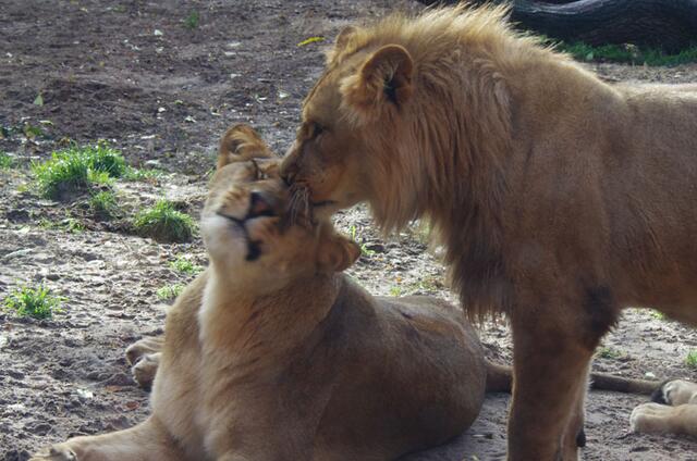 hmmmmm --- du riechst gut