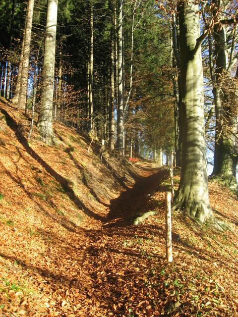 Es wird allmählich steiler, doch eine Bank am Wanderweg winkt schon...