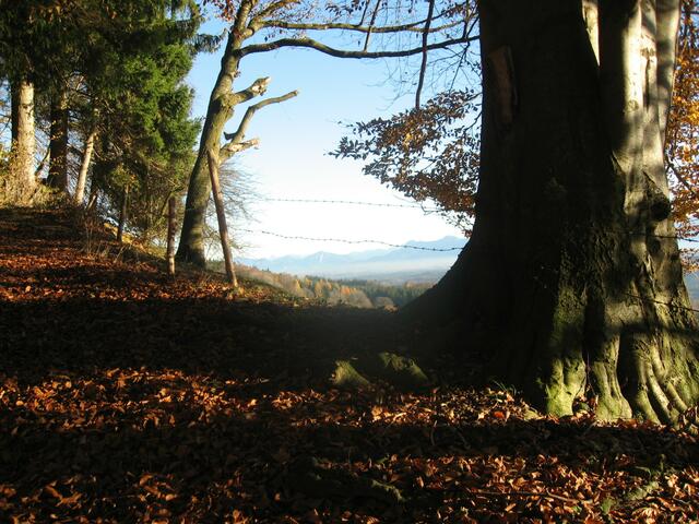 Guckloch ins Blaue Land.
