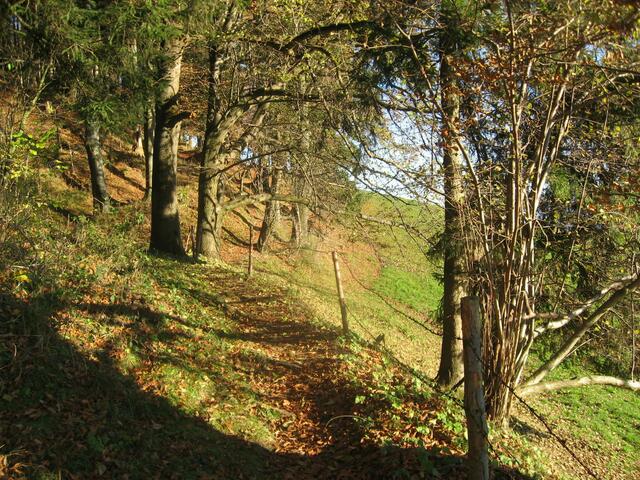 Abseits vom eigentlichen "Hanslweg" wandere ich mit der Sonne immer den Berghang entlang.