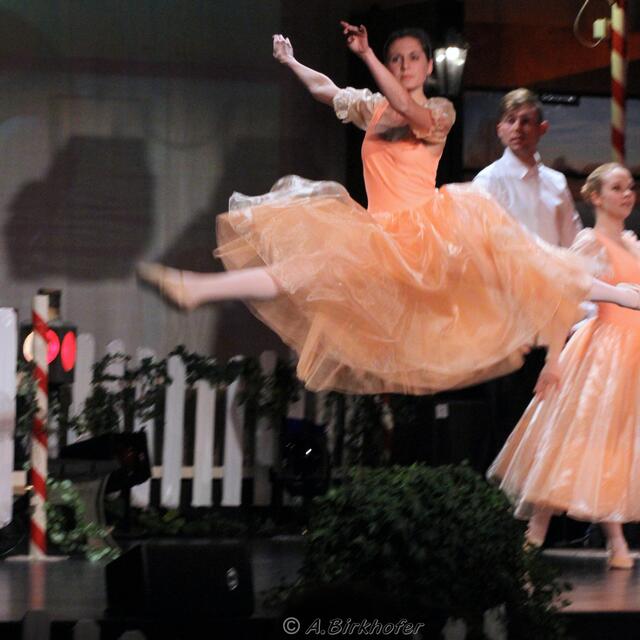 Tänzerisch untermalt vom Ballettstudio Tingreen