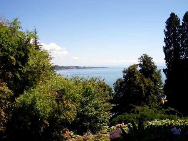 Bodenseeblick