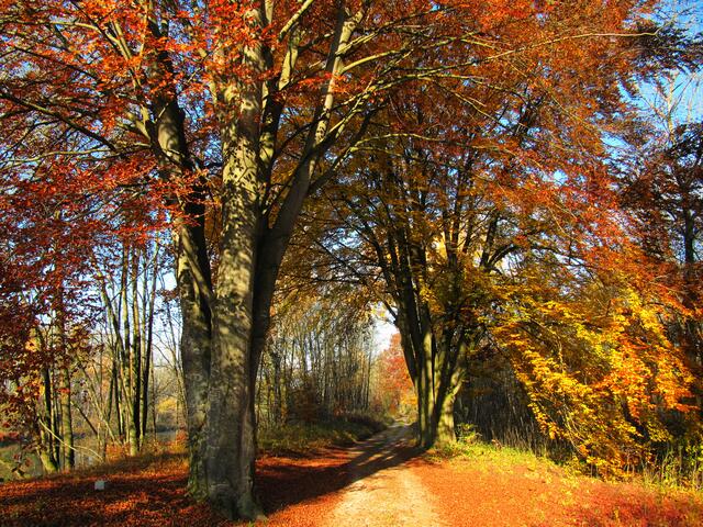 Spaziergang entlang des Lechs