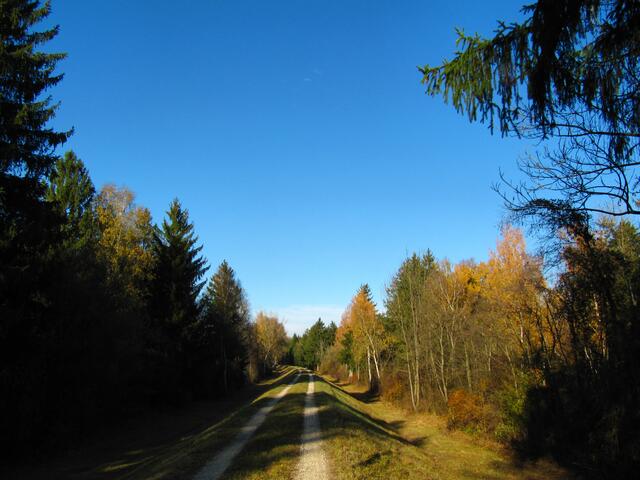 Spaziergang entlang des Lechs