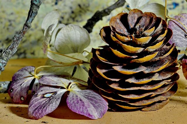Arrangement....