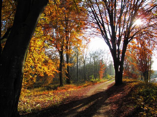 Spaziergang entlang des Lechs