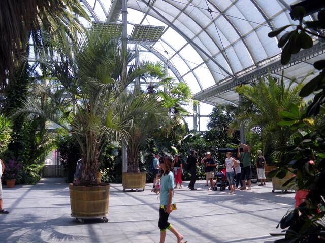 Besuch im Palmenhaus