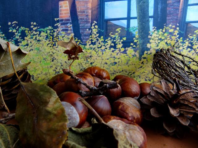 ..Herbstliches