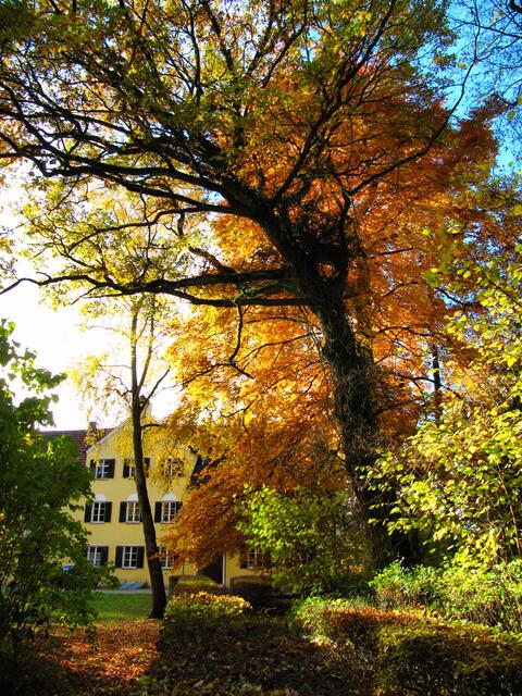 Spaziergang in Ellgau