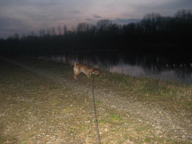 Stupsi sucht sogar nach Brotresten ..... typisch "Futterneid" :-))