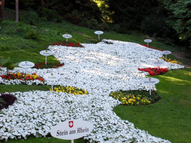 Bodensee - Blumenrelief