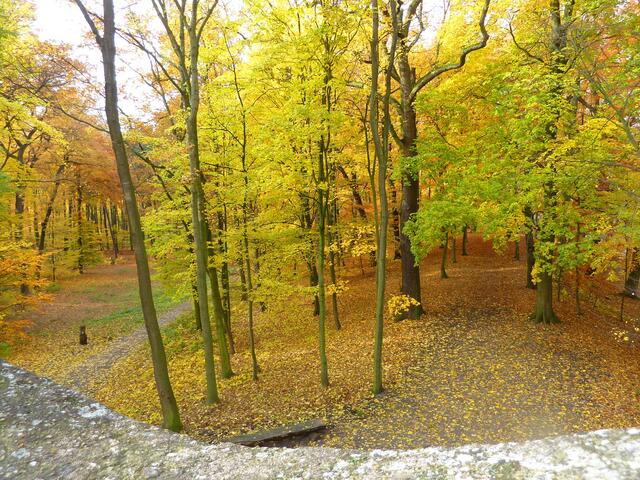 Blick vom Hexenturm